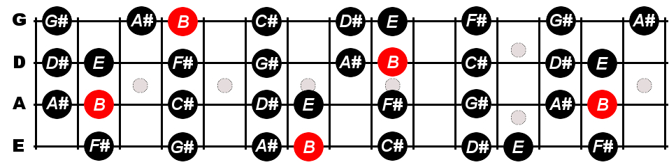 B Major Scale For Bass - Constantine Guitars